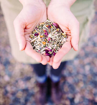 two hands cup loose floral tea blend