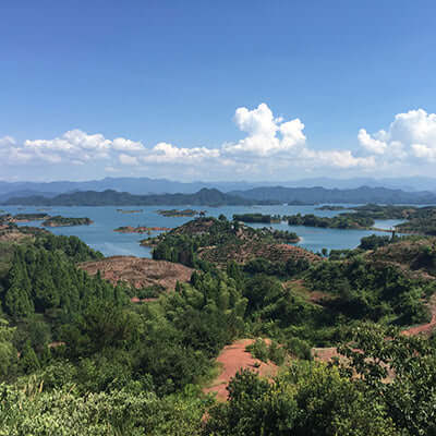 rocky granite terroir of the region where dragonwell tea is grown in a tea garden on the hillsides of Qiandao Lake, about 100 miles from Hangzhou.
