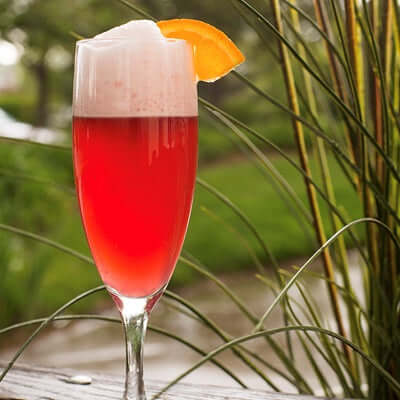 Gin Fizz Cocktail