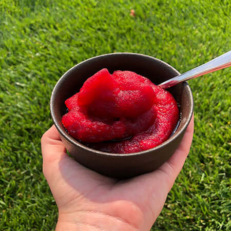 a hand holds a bowl of tea sorbet with a grassy background