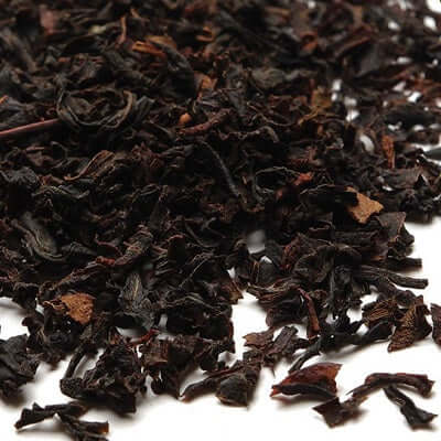 Nilgiri & Teal