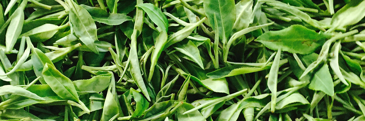 Green Tea Online