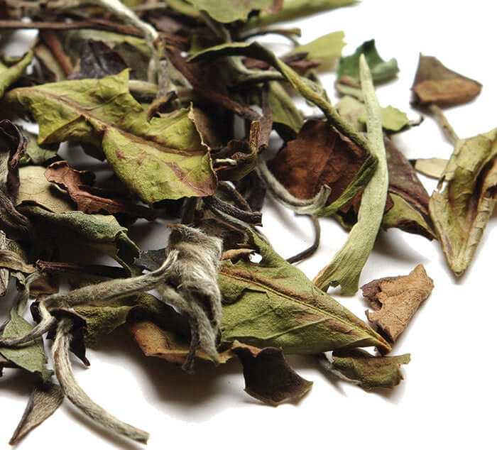 Loose leaf organic white tea, known as Monkey-Picked, highlighting delicate taste and high-quality selection for tea enthusiasts.